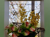 20180419 0206