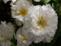 20180419 0277
