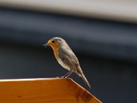 20180425 0220