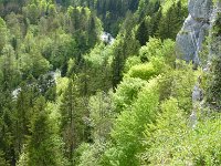 P1150619